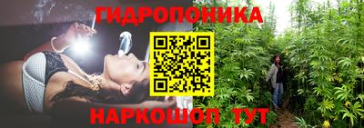 первитин Будённовск