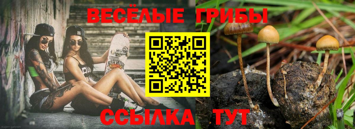 Галлюциногенные грибы прущие грибы Пыть-Ях